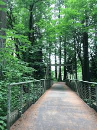 KSB Online Marketing