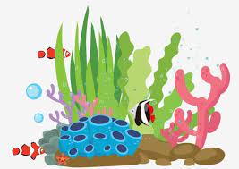 Decorative Pattern Cartoon Hand Drawn Underwater World Seaweed Seaweed Clipart Coral Marine Life Png Transparent Clipart Image And Psd File For Free Download How To Draw Hands Coral Reef Drawing Hand