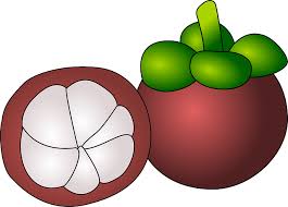 Gambar bunga adalah tempat terindah yang di berikan oleh sang maha kuasa kepada makhluknya. Mangostein Fruit Purple Free Vector Graphic On Pixabay