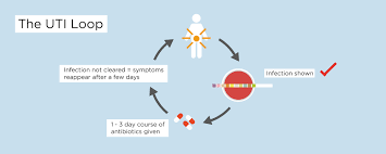 But just how long do uti's last? What Is Chronic Uti Cutic