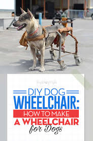 Measure the distance from his chest to the back of his rear legs and the distance. Diy Dog Wheelchair How To Make A Wheelchair For Dogs By Yourself
