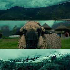 Omar Vivanco (@omarvivanco16) • Instagram photos and videos