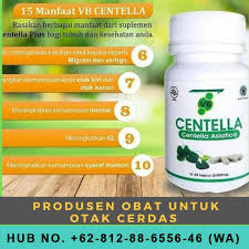 Perusahaan Vitamin Otak Vitabrain Di 2020 Otak Kanan Bagian Tubuh Resep Dokter