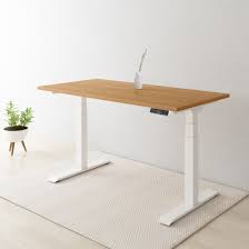 Check spelling or type a new query. Flexispot Sanodesk Pro Bureau Electrique Assis Debout Reglable En Hauteur Pietement En Acier A 3 Etages E7