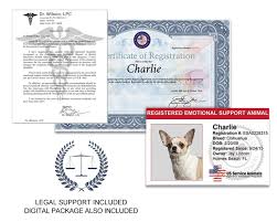 Name of the licensed professional (doctor, therapist, rehabilitation counselor, psychiatrist). How To Ask A Doctor For An Emotional Support Animal Get An Esa Letter