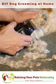 Pin Auf Dog Grooming