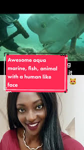 #duet with @🦁『★』 lion『★』🦁 #greenscreen #ochisfaj #aquamarine#makeitviral  #animalworld #fish #foryou #fyp #animal#amazing  #human#jayleno#animalsoftiktok