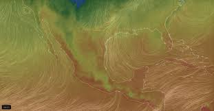 A onda de calor é grave não apenas por causa do número de mortos, mas também porque o clima na costa noroeste dos eua já é temperado. Clima Onda De Calor Afectara A Entidades Del Occidente Y Bajapress