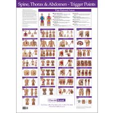 Spine Thorax Abdomen Trigger Point Chart