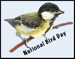 One Morning I Shot An Elephant In My Pajamas How He Got In My Pajamas I Don T Know National Bird Day Epic Facts Bird Day