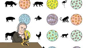 All cells come only from the reproduction of existing. 7 1 Life Is Cellular Cell Structure Quiz Quizizz