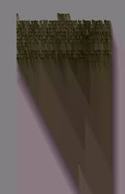 Image result for Anthephora pungens