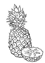 Hand drawn vector isolated illustration on white background. Pineapples Coloring Pages Coloring Home