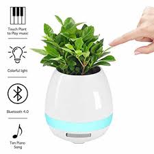 Shop our glazed ceramic pots selection from top sellers and makers around the world. Led Bluetooth Music Plant Pot Indoor Flower Pots Extra Large Outdoor Planters For Sale Outside Decor Ceramic Pl Corner Planter Buy At The Price Of 13 87 In Aliexpress Com Imall Com