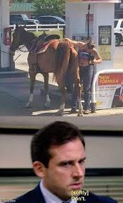 Fri jun 11, 2021 🚨 ticket sell out alert tickets now on sale! Horse Memes Gifs Imgflip