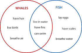 What Is A Venn Diagram Math 101