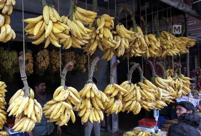 Price of Nendran bananas soars in Kerala markets | Mathrubhumi English