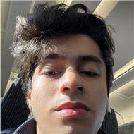 How does biology contribute to medicine?