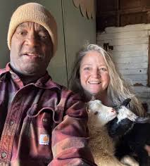 lamb's heritage from cotswolds