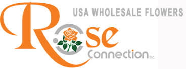 Maybe you would like to learn more about one of these? Wholesale Roses Wholesale Flowers Roses Usa Wholesale Florist Roses Suppliers Usa Wholesale Roses Vendors Flowers Florist Suppliers Usa Vendors Red Roses White Flowers Suppliers Usa Wholesale Florist Roses Us Flowers Wholesale Roses