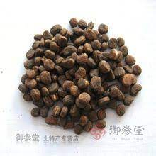 150 Best Seeds Images Seeds Fruit Seeds Garden Supplies