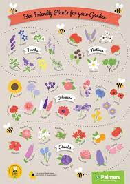 Get your bee saver kit. Bee Friendly Plants You Should Plant For Your Garden Bee Friendly Plants Bee Friendly Garden Bee Friendly