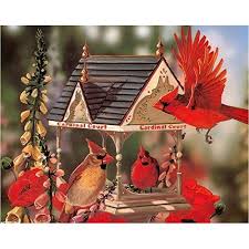 Bird House Kits For Adults Amazon Neilden Diy 5d Diamond Painting Kits For Adults Round Ful Https Www Amazon Com Dp B07sg49bbv Ref Cm Sw R Pi Dp U X In 2020 Painting Kits Diamond Painting Painting