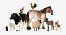 Transparent Background Farm Animals Png