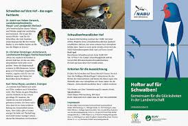 Der nestbau ist sehr charakteristisch für diese vögel.meist sind schwalbennester gut versteckt an häuserecken zu finden oder an schwer zugänglichen stellen von gebäuden. Plakette Schwalbenfreundliches Haus Nabu Freiburg
