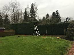 Realisation Travaux D Amenagement Jardin Hainaut Namur Brabant Wallon Gembloux Et Eghezee Golf Courses Field