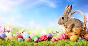 Easter is the celebration of the resurrection of jesus from the tomb on the third day after his learn more about the real meaning of easter including the history and holiday symbols like easter eggs, the. Does The Easter Bunny Have A Sustainable Supply Chain
