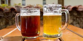 Eğer iyi bir ales puanına sahipseniz yüksek lisans başvurunuzda. Ale Vs Lager The Differences Between Both Types Of Beer
