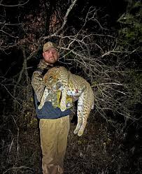 We had an awesome night calling and wound up with 3 cats