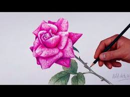 How To Draw And Shade Dahlia Flower Realistic Youtube Flower Drawing Roses Drawing Colored Pencils