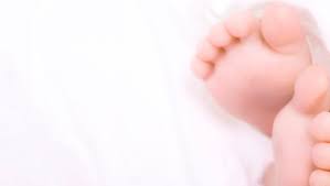 Sheboygan birth announcements: Jan. 17