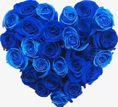 Bluelover Png Blue Bluelover Clipart Blue Rose Flowers Heart Shaped Blue Roses Wallpaper Rose Wallpaper Flower Pictures