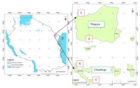 • 11 млн просмотров 3 года назад. Forests Free Full Text Typology Of Forest Users In West Usambara Tanzania And Implication To Forest Management Html