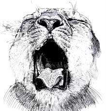 Check spelling or type a new query. Pen And Ink Drawings Of Animals