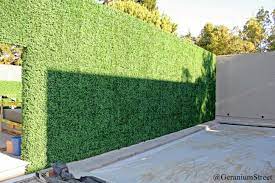 It's our neighbor's fence so we couldn't really do anything to it. Custom Designed Artificial Boxwood Hedge Wall At A San Francisco Mansion Artificial Plants Outdoor Artificial Plants Artificial Plants Indoor