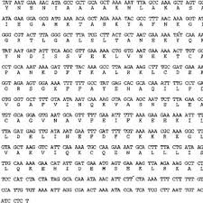 Eric Kurt Hani's research works