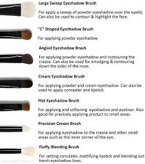 Makeup Tool Guide Makeup Eyeshadow Brushes Eyeshadow