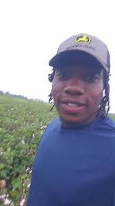 Cotton Picking Management