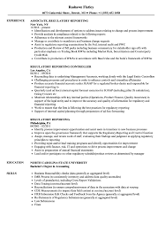 Oversight of financial reporting requires the critical review of voluminous documents filled with complex accounting and reporting matters. Regulatory Reporting Resume Samples Velvet Jobs