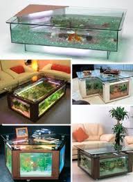 The broad spectrum of pvc fish tank table available on the site are made from sturdy and durable materials that last for a long time underwater and can still look that much ravishing. 150 Aquarium Ideas Aquarium Aquarium Fish Fish Tank
