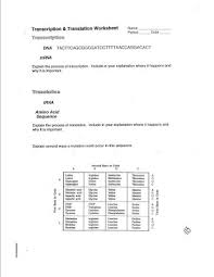 Phonetic quizzes as worksheets to print. Transcription And Translation Worksheet Phs Biology