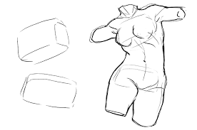 Are you confused about how to draw female bods? How To Draw The Female Torso An In Depth Guide Gvaat S Workshop