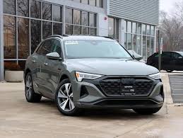 Image result for Daytona Gray 2024 E-Tron
