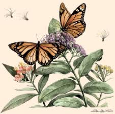 Check spelling or type a new query. Monarch Butterfly Expedition Art