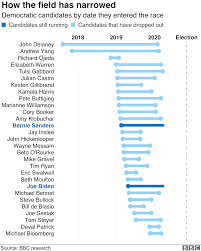 A desk in the library of george stephanopoulos and ali wentworth's new york apartment displays family photos next to an emmy awarded to stephanopoulos for his 2009 election coverage. Us Election 2020 Meet The Democratic Candidates Vying To Take On Trump Bbc News