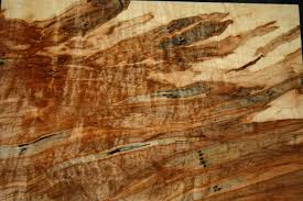 Curly Spalted Ambrosia Maple Wood Turning Blank Wood Turning Blanks Wood Turning Maple Wood